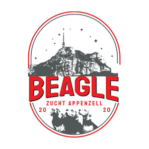 beaglezucht - Netto Werbung GmbH