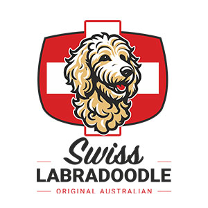 labradoodle - Netto Werbung GmbH